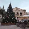 Le sapin géant est en réalité composé de 150 arbres. @TS