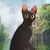 Flow le chat qui n'avait plus peur de l'eau