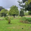 Un parc niçois à Cimiez - RCF