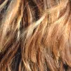 Des cheveux 