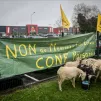 "NON au Mercosur et Libre Echange". Des agriculteurs ont parqué des brebis devant la concession Mercedes Benz, en opposition aux accords de libre échange et au traite du Mercosur qui favoriserait l'industrie automobile allemande. Photo Quentin Top.