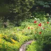 image d'illustration (jardin) - Morgane Le Breton via Unsplash