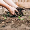 image d'illustration (jardinage) - © Sandie Clarke via Unsplash