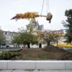 Crédits @ville de Lille