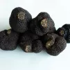 Des truffes - Photo de Big Dodzy sur Unsplash