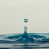 Illustration - Photo de César Couto sur Unsplash