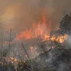 Le plan d'adaptation au changement climatique a été pensée pour faire face à l’aggravation des inondations, sécheresses, canicules, érosion côtière ou encore incendies de forêt. Idriss Bigou-Gilles / Hans Lucas.