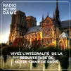 Notre-Dame de Paris - DR/Daniel Antoine