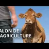 Le Débat du jour - Salon de l'agriculture | Trump, Macron et Israël | Retraites