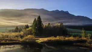 alek-krivec-UNSPLASH