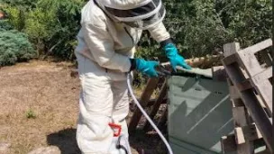 Aymeric Berthet paysagiste et défenseur des abeilles