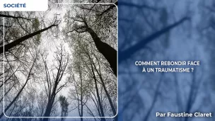 Article resilience pierre delbee