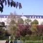 L'abbaye St Nicolas à Angers