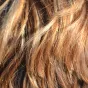 Des cheveux 