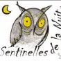 hibou des campagnes sentinelles de l'année