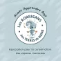Visuel des Korrigans des Terres de Nataé