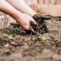 image d'illustration (jardinage) - © Sandie Clarke via Unsplash