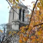 Les tours de Notre-Dame de Paris en automne (photos RL)