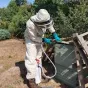 Aymeric Berthet paysagiste et défenseur des abeilles