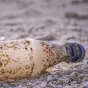 Henri Bourgeois Costa : "un traité qui n'aborderait pas la nécessité de réduire la production des plastiques serait complètement à côté de l'ambition"