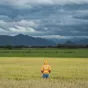 Le débat du 20 novembre