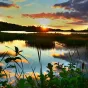 Quel avenir pour la biodiversité ? 