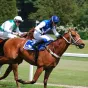 Course hippique 