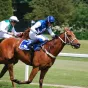 Course hippique 