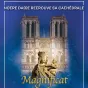 La vierge au pilier de retour à Notre Dame de Paris Crédit photo pèlerinage des Pierres vivantes